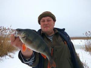 Снасть для зимней рыбалки на окуня